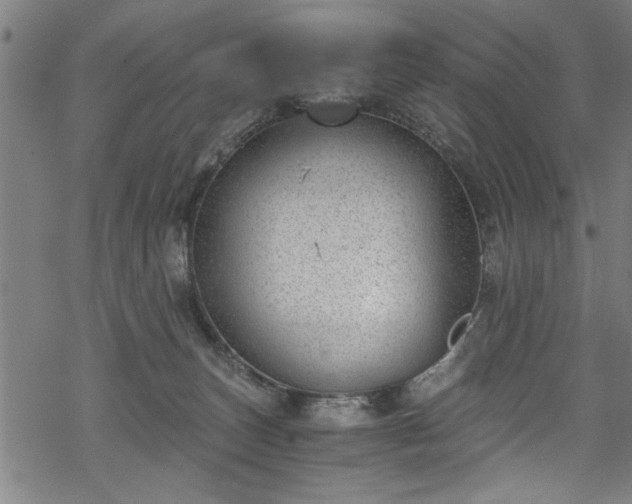 X0000068900179200605081354