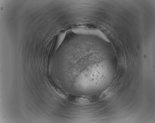 X0000068900180200605081354