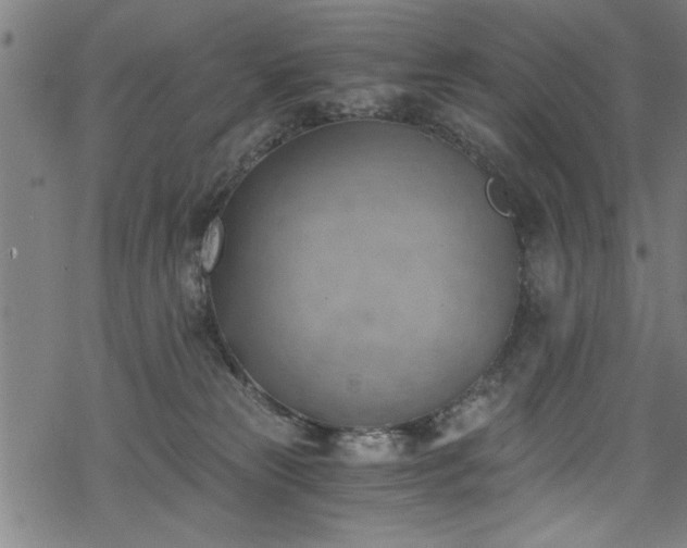 X0000068900181200605081355