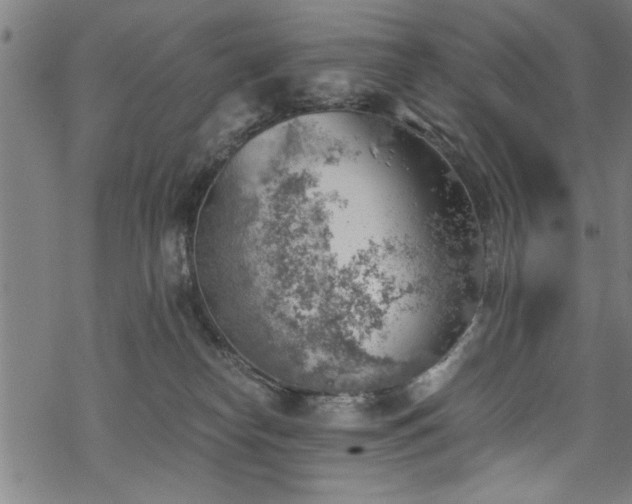 X0000068900182200605081355