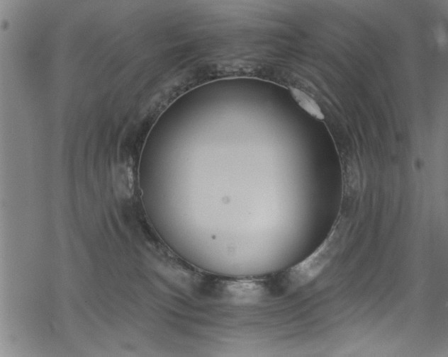 X0000068900183200605081355