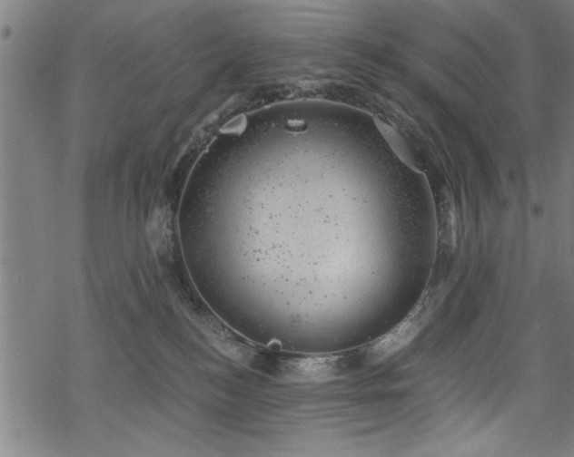 X0000068900184200605081355