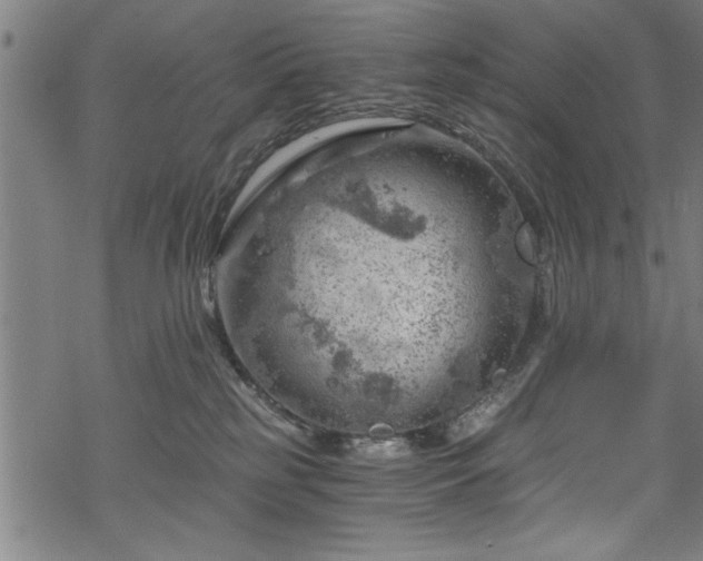 X0000068900185200605081355