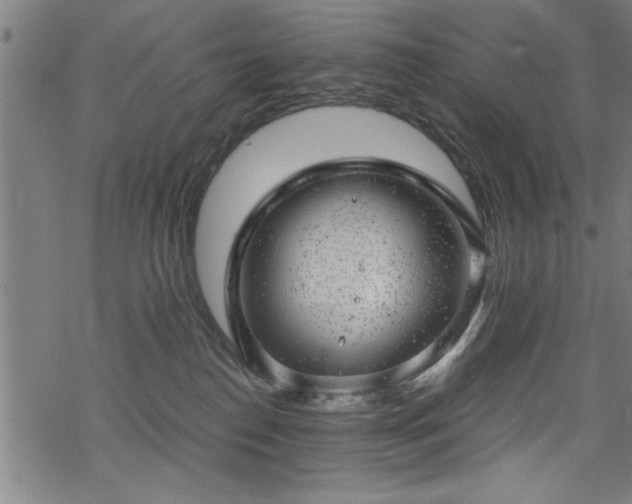 X0000068900186200605081355