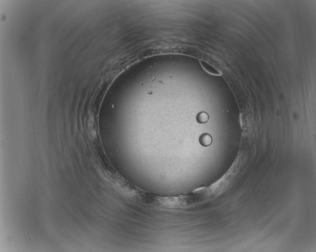 X0000068900187200605081355