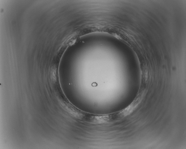 X0000068900188200605081355