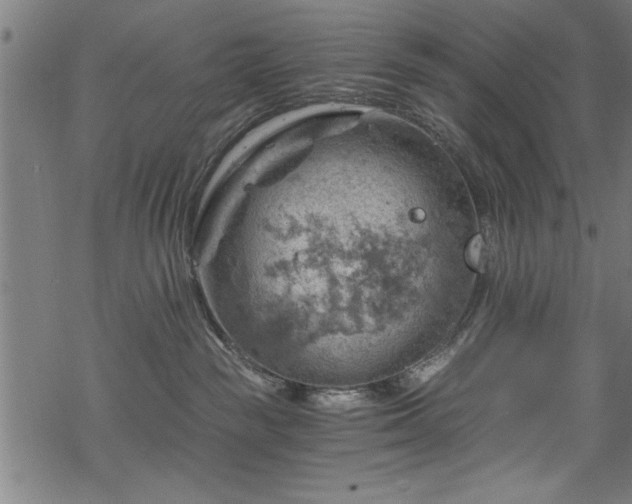 X0000068900189200605081355