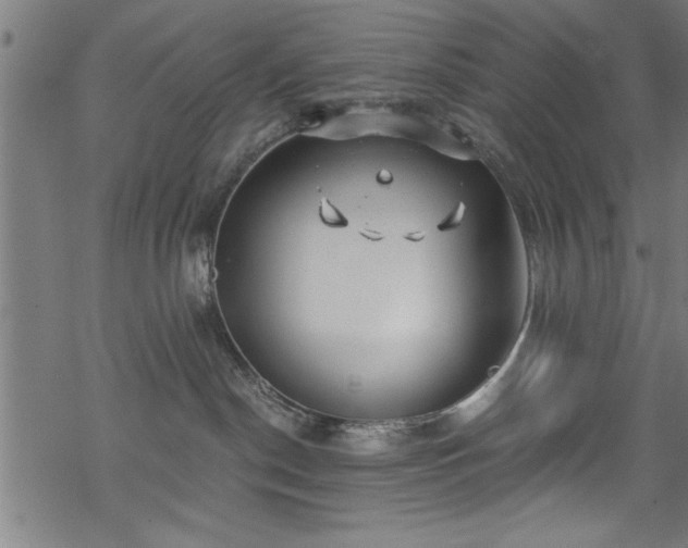 X0000068900190200605081355