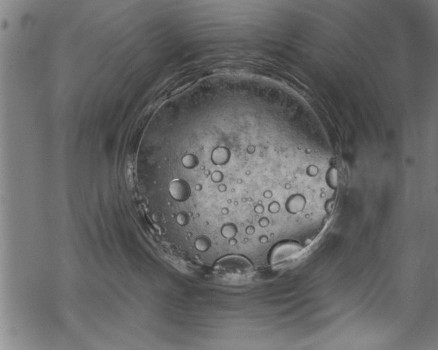 X0000068900191200605081355