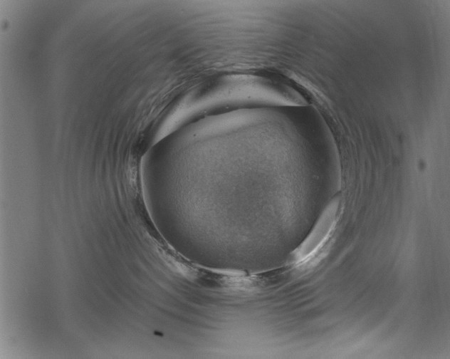 X0000068900192200605081355