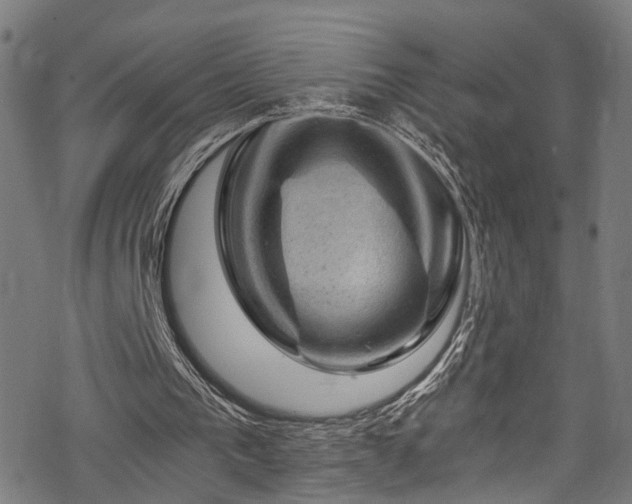 X0000068900193200605081354