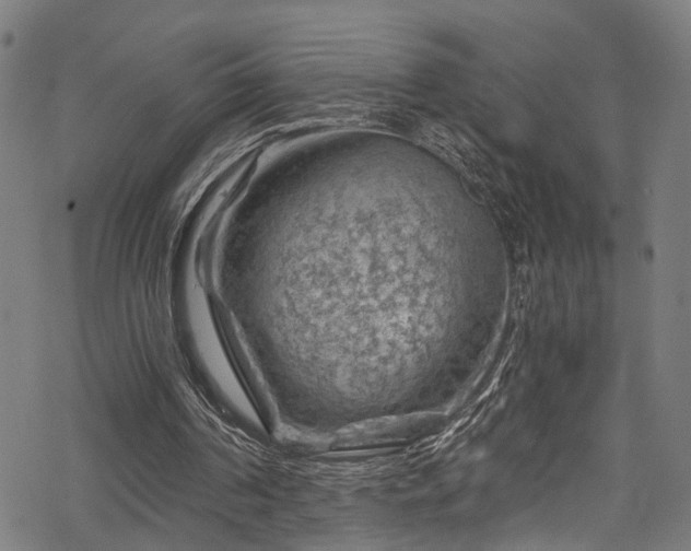 X0000068900194200605081354