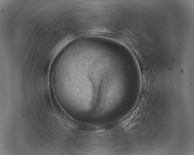 X0000068900196200605081354