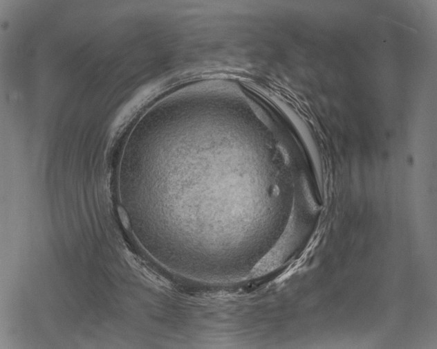 X0000068900197200605081354