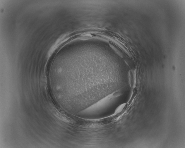 X0000068900198200605081354