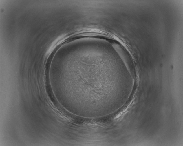 X0000068900199200605081354