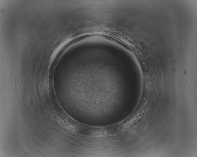 X0000068900200200605081354