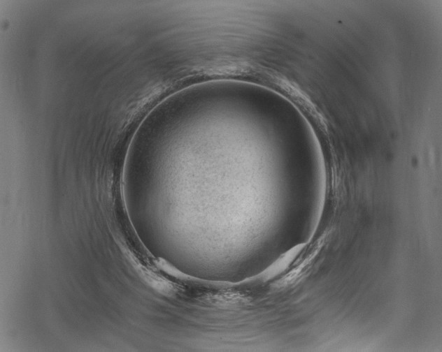 X0000068900201200605081354