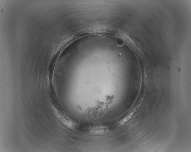 X0000068900202200605081354