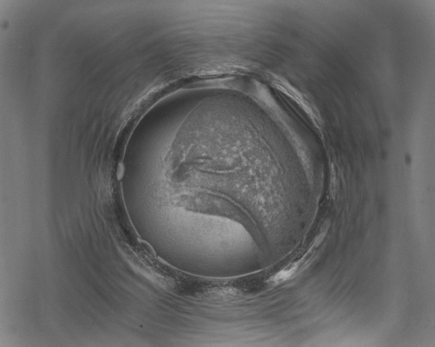 X0000068900203200605081354