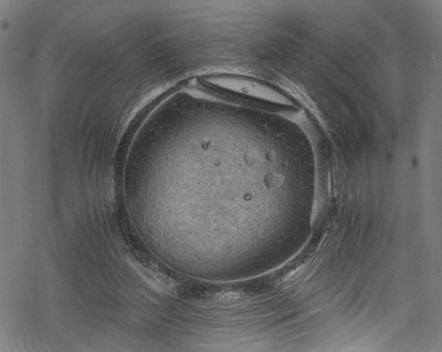 X0000068900204200605081354