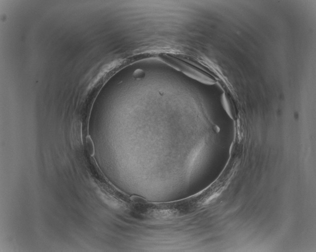 X0000068900205200605081354