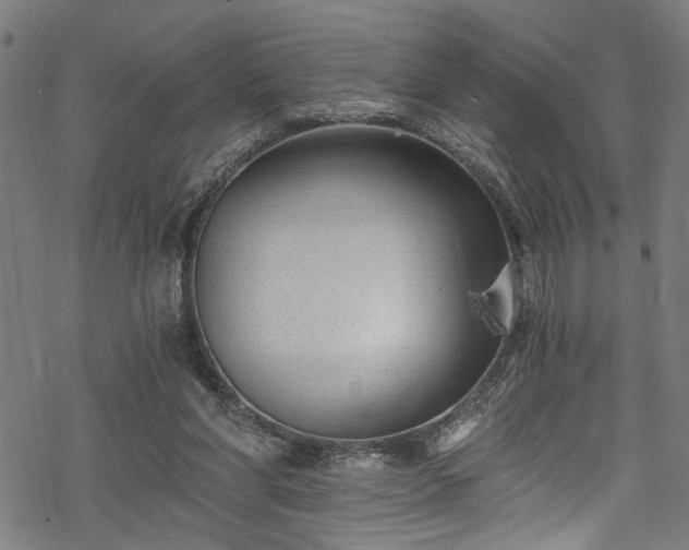 X0000068900206200605081354