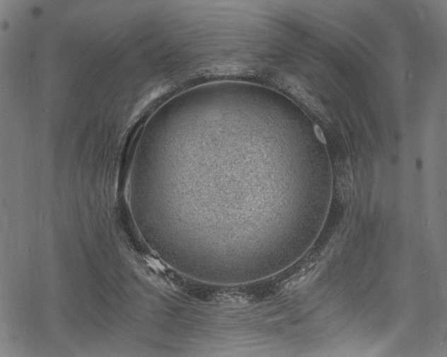 X0000068900207200605081354