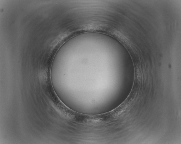 X0000068900208200605081354