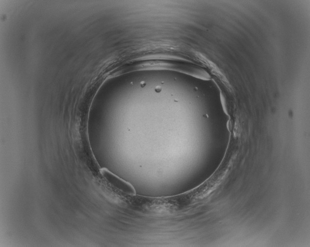 X0000068900209200605081354