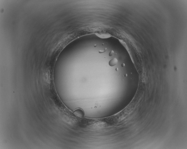 X0000068900210200605081354