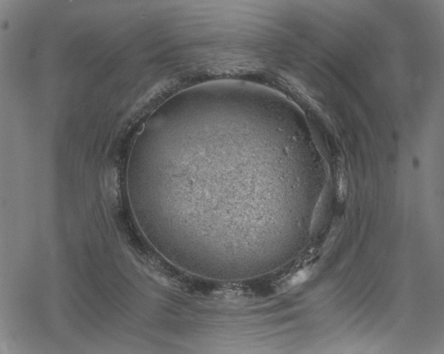 X0000068900211200605081354