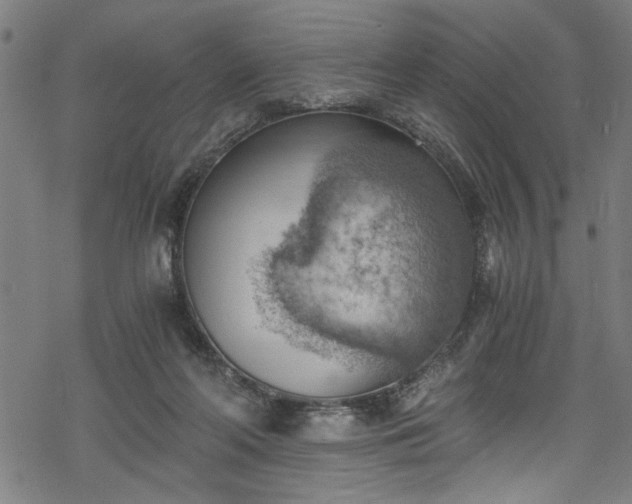 X0000068900214200605081354