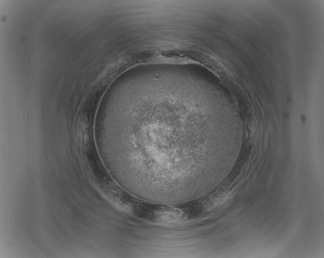 X0000068900215200605081354