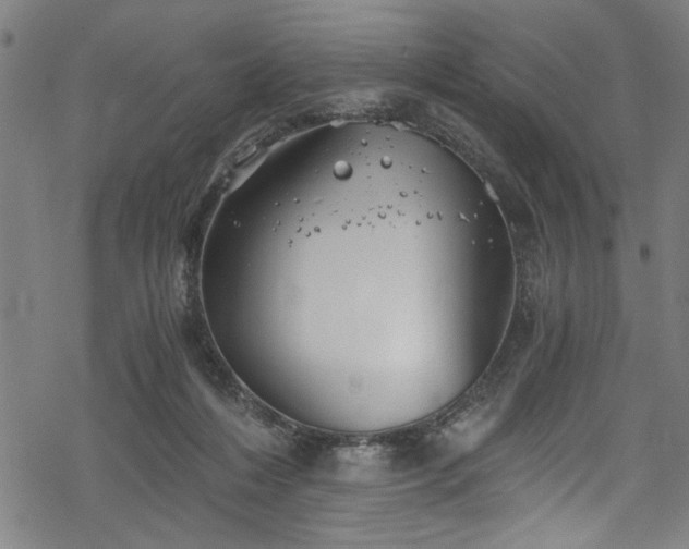 X0000068900216200605081354