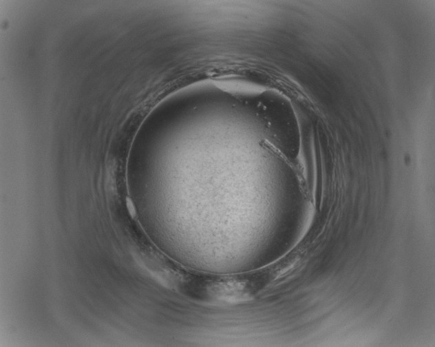 X0000068900217200605081354