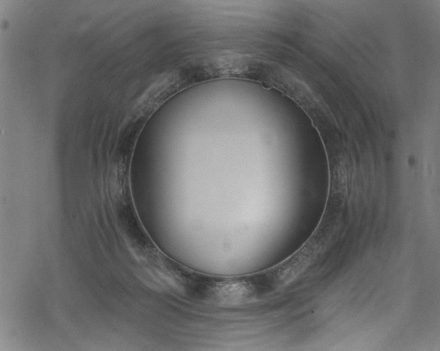 X0000068900218200605081353