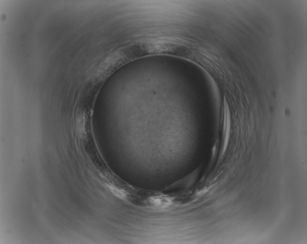 X0000068900219200605081353