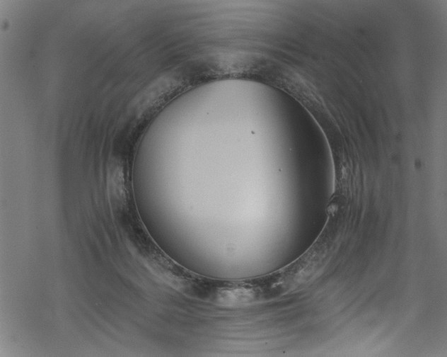 X0000068900220200605081353