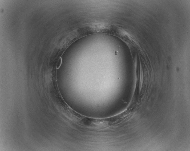 X0000068900221200605081353