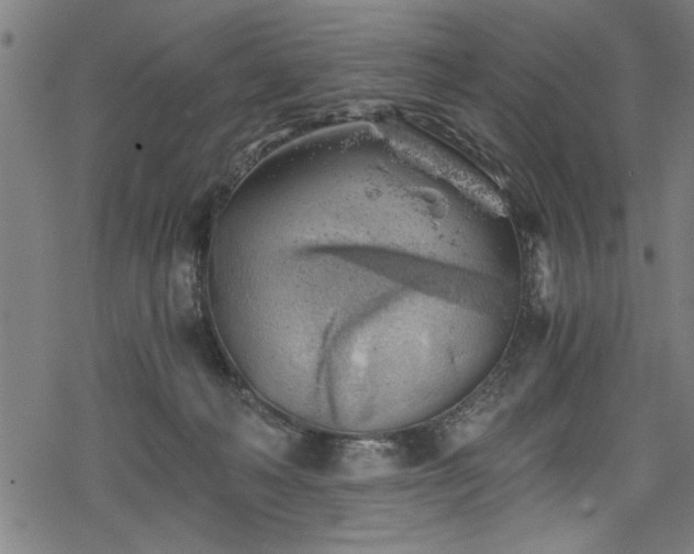 X0000068900222200605081353