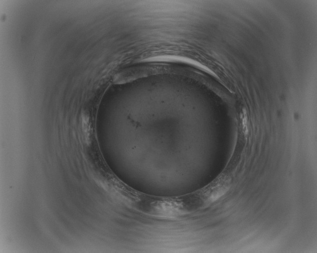 X0000068900223200605081353