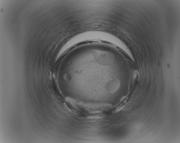 X0000068900224200605081353