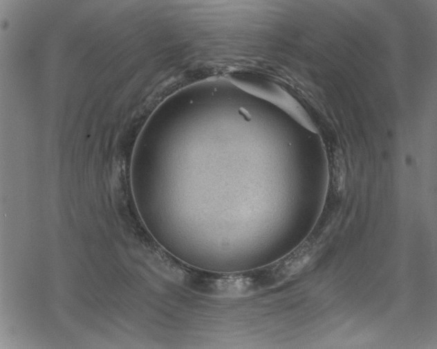 X0000068900225200605081353