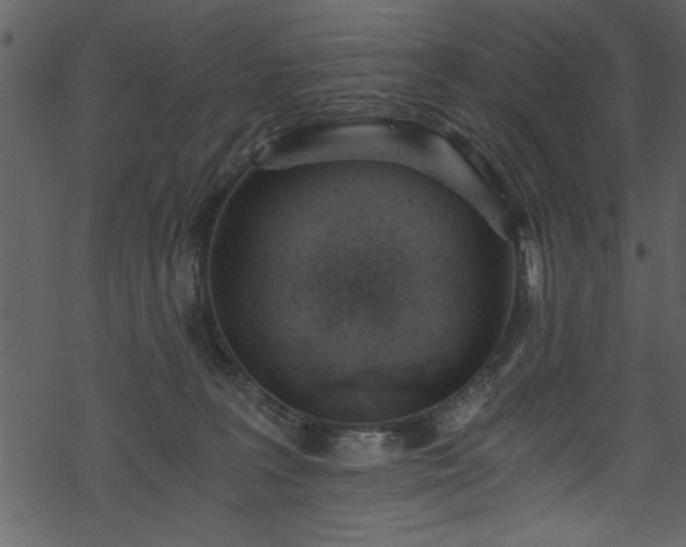 X0000068900227200605081353