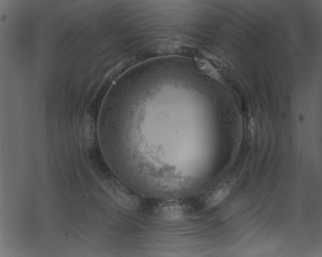 X0000068900228200605081353