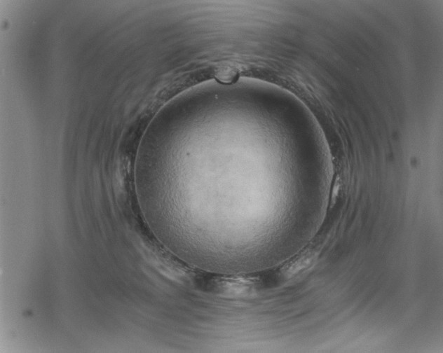 X0000068900229200605081353