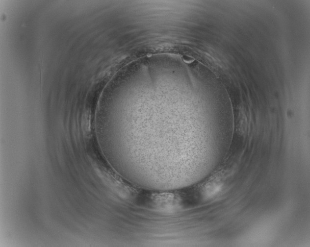 X0000068900230200605081353