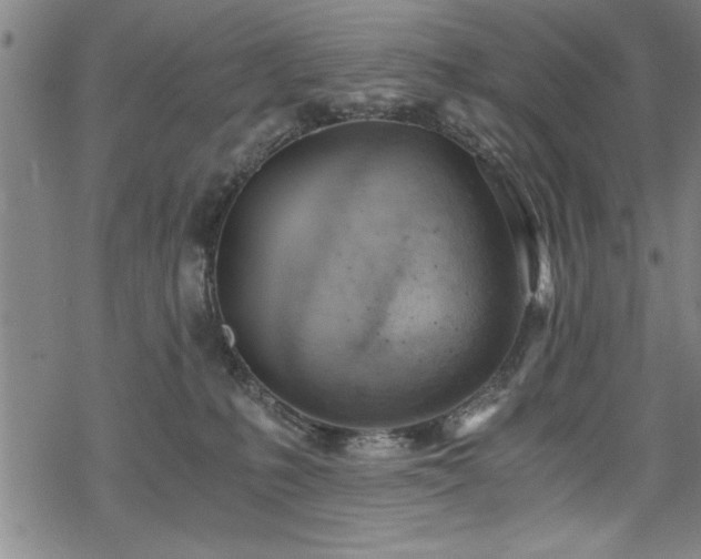 X0000068900231200605081353