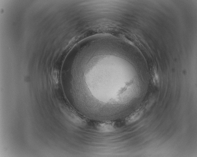 X0000068900232200605081353